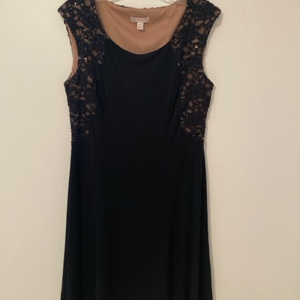 Dress Barn Black and Tan Lace Midi Dress